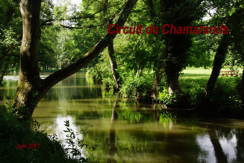 Chamarande et son parc